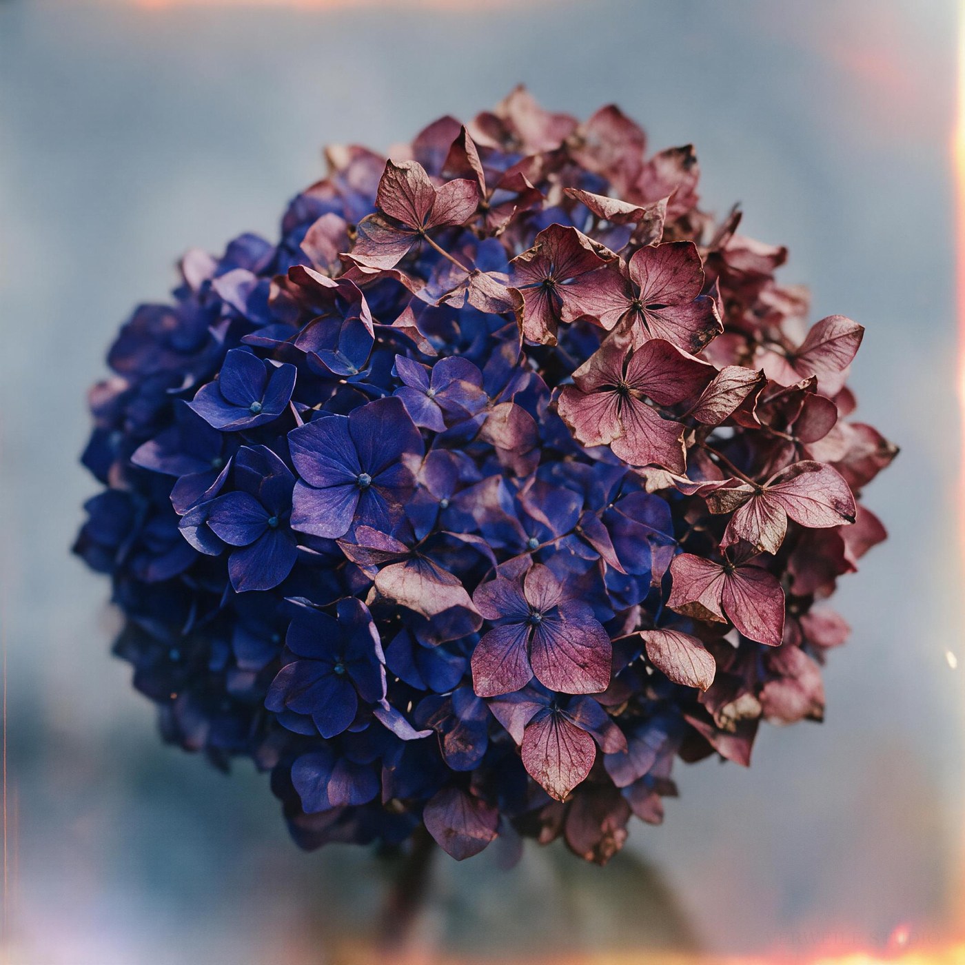 Blue Into Rust